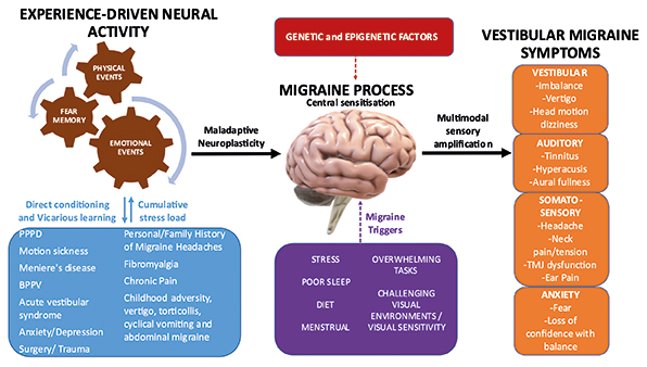 Migraine and Vertigo Diagram